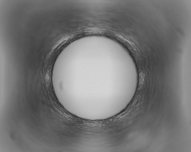 X0000113161254200909040945