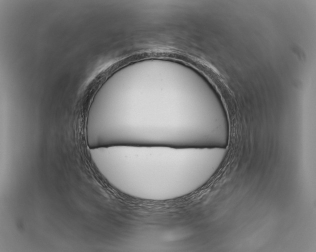 X0000113161255200909040945