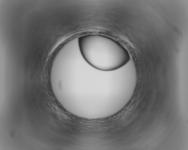 X0000113161256200909040945