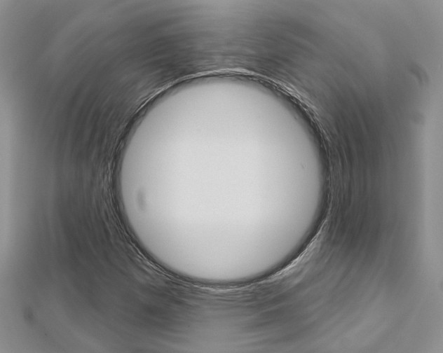 X0000113161257200909040945