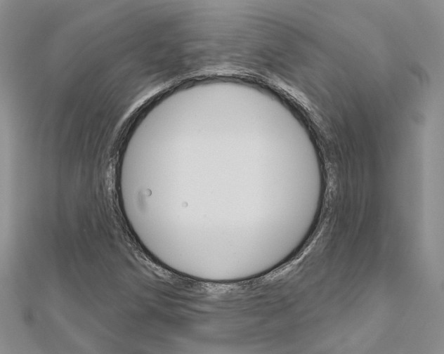 X0000113161258200909040945