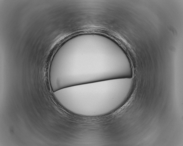 X0000113161259200909040945