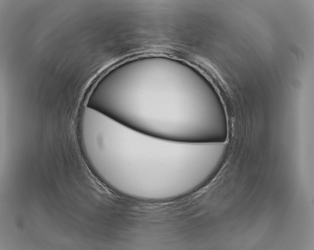 X0000113161260200909040945