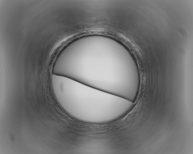 X0000113161262200909040945