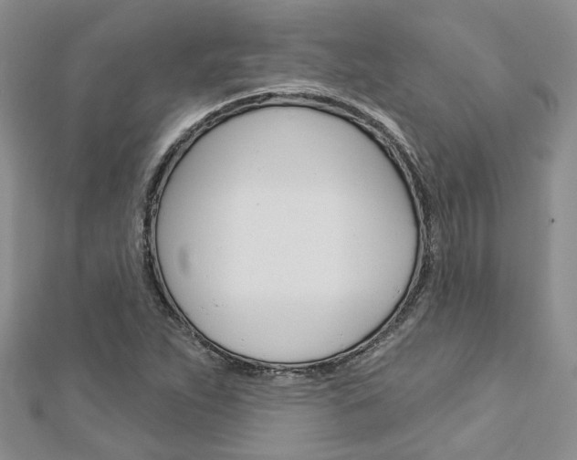 X0000113161263200909040945