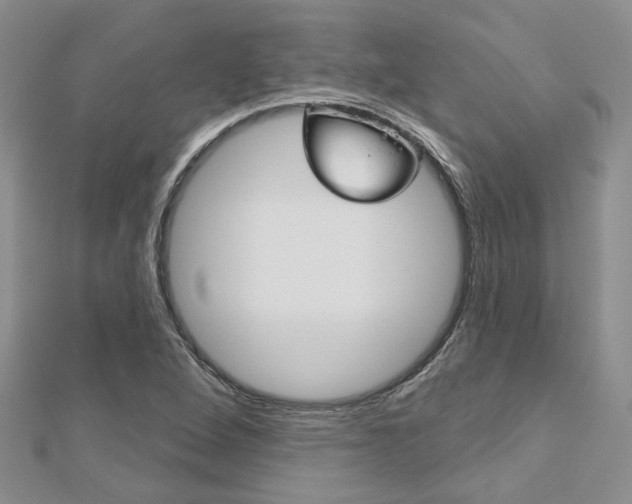 X0000113161264200909040945