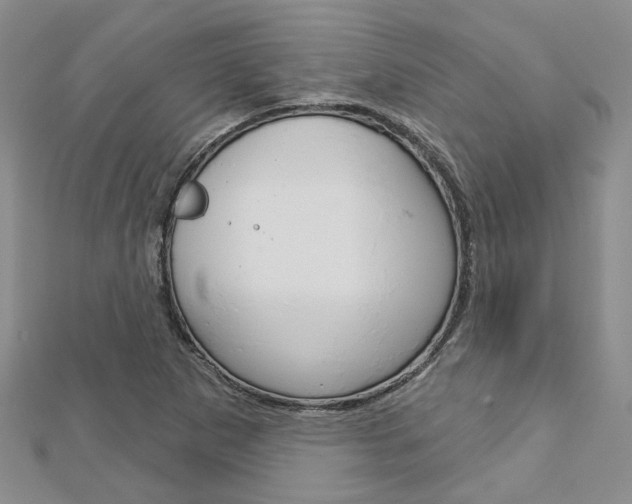 X0000113161265200909040945