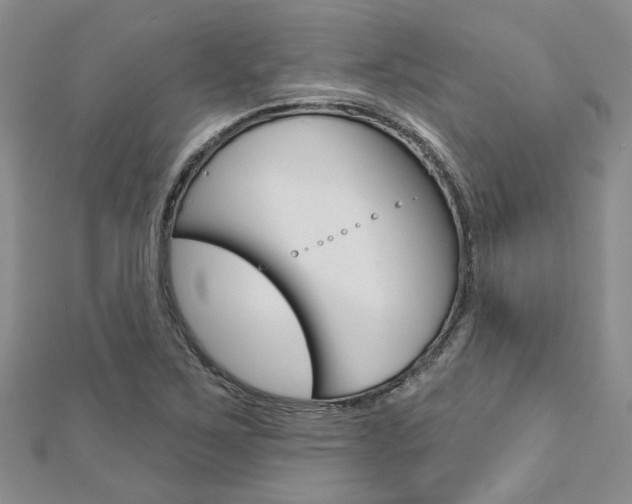 X0000113161267200909040945
