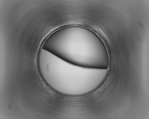 X0000113161268200909040945