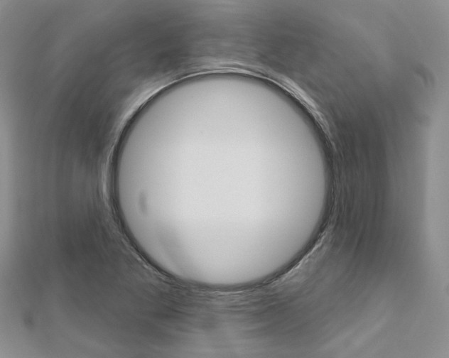 X0000113161269200909040945