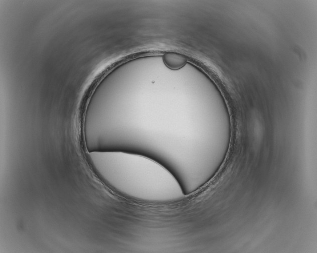 X0000113161270200909040945