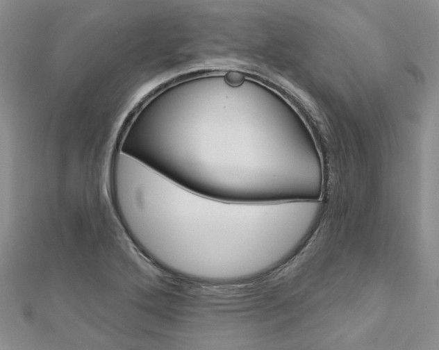 X0000113161272200909040945