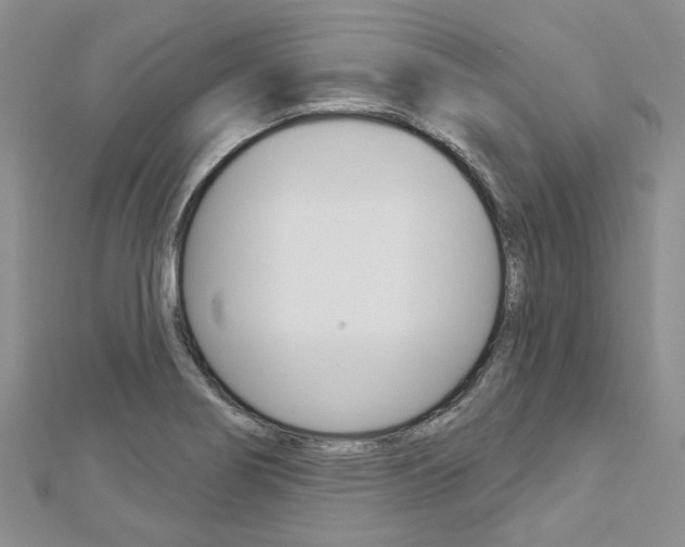 X0000113161274200909040945