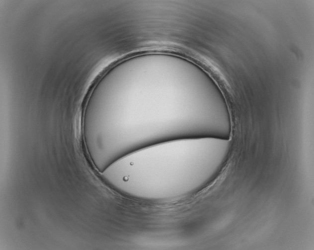 X0000113161275200909040945