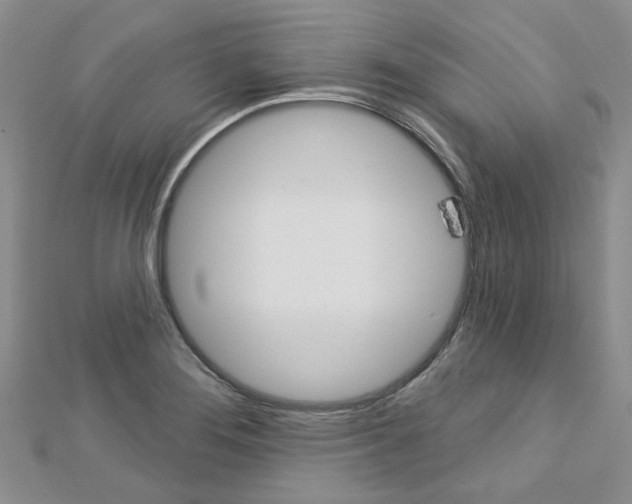 X0000113161276200909040945