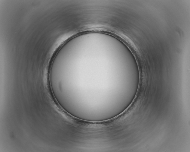 X0000113161277200909040945
