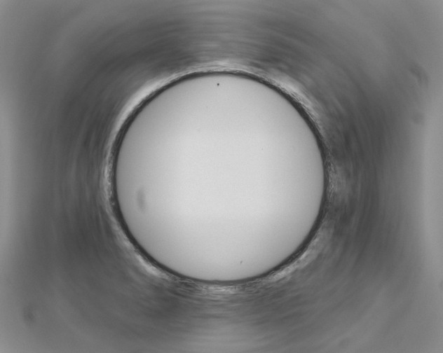 X0000113161278200909040945