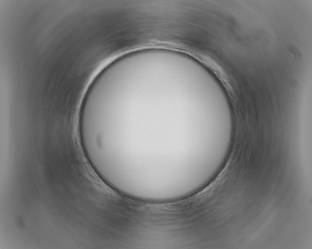 X0000113161280200909040945