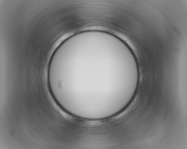 X0000113161282200909040945