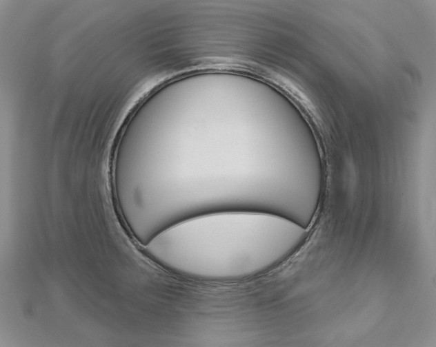 X0000113161283200909040945