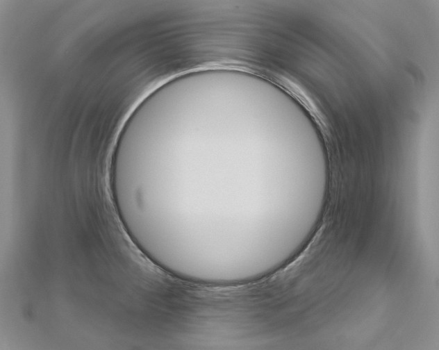 X0000113161284200909040945