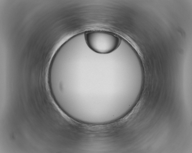 X0000113161285200909040945