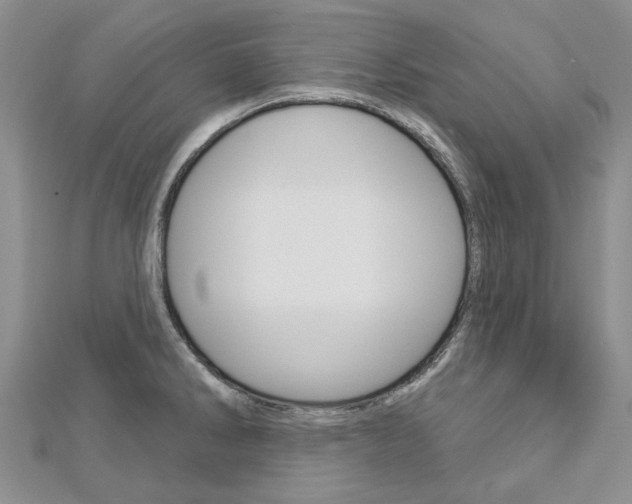 X0000113161286200909040945