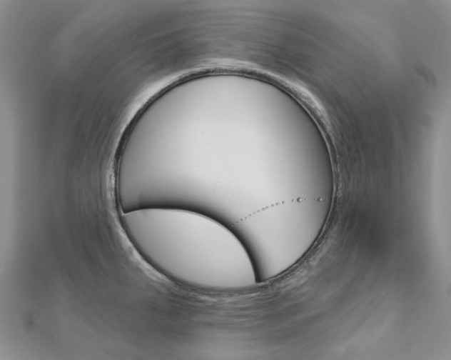 X0000113161287200909040945