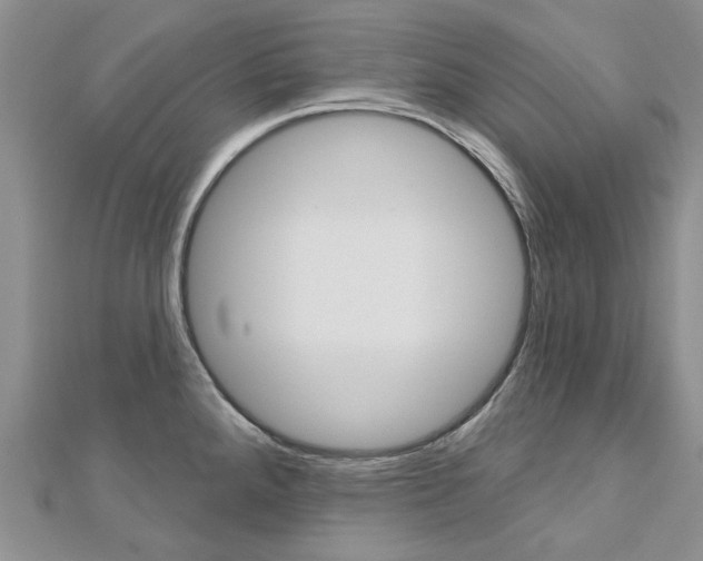 X0000113161288200909040945