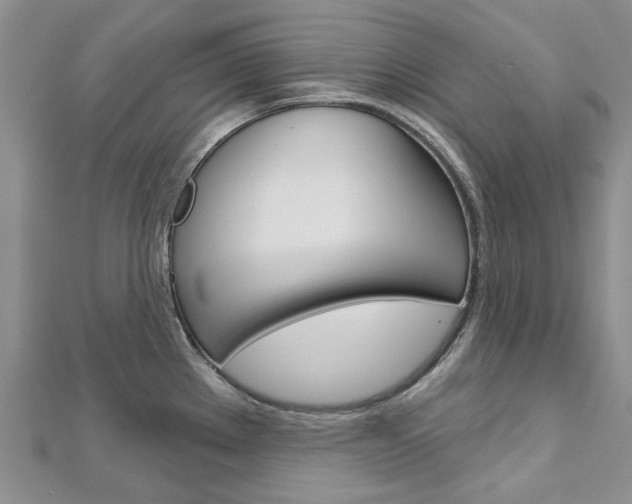 X0000113161289200909040945