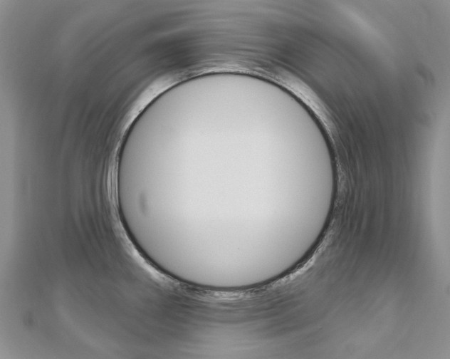 X0000113161290200909040945