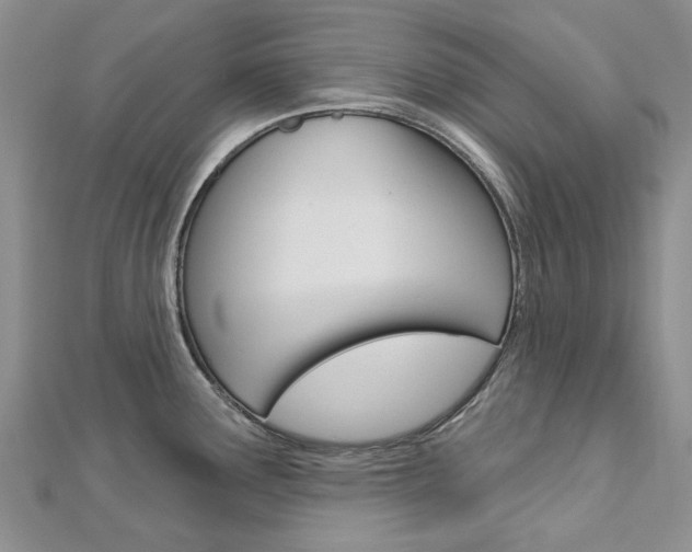 X0000113161291200909040945
