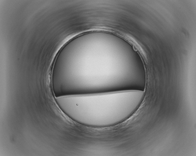 X0000113161292200909040945