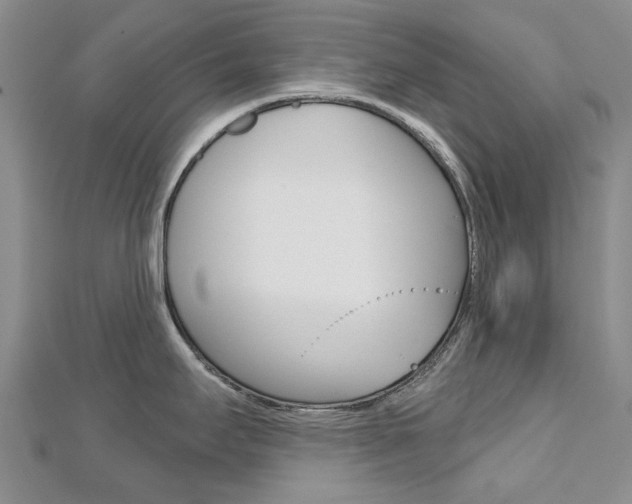 X0000113161295200909040945