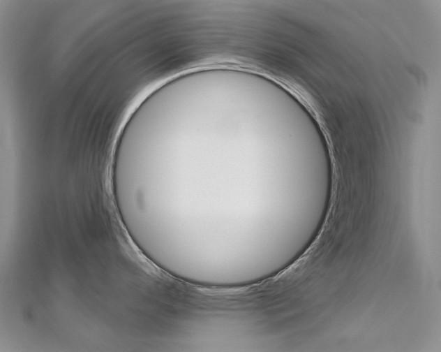 X0000113161296200909040945