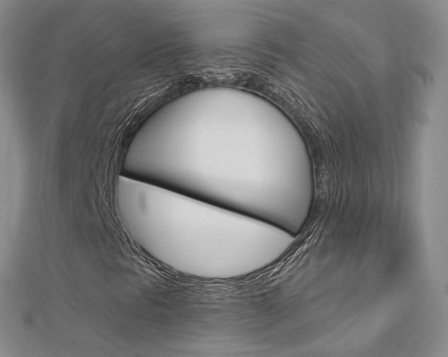 X0000113161297200909040944