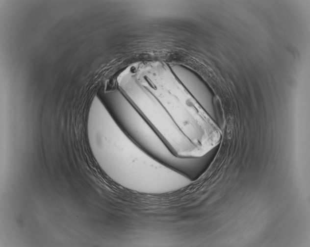 X0000113161298200909040944