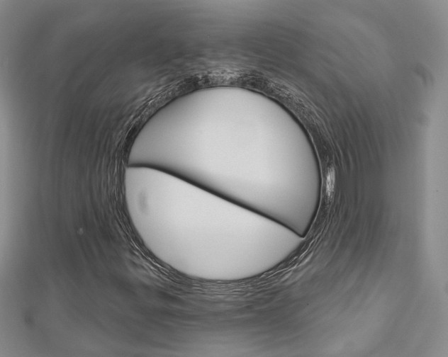 X0000113161299200909040944