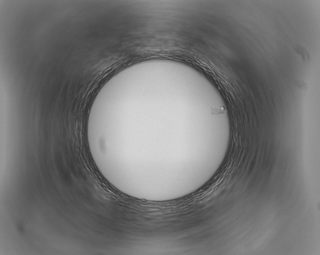 X0000113161300200909040944