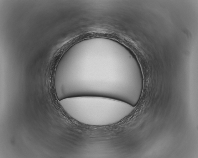 X0000113161303200909040944