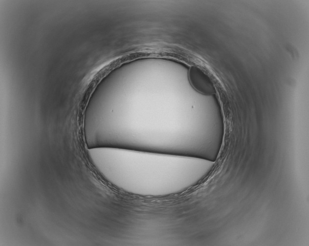 X0000113161304200909040944
