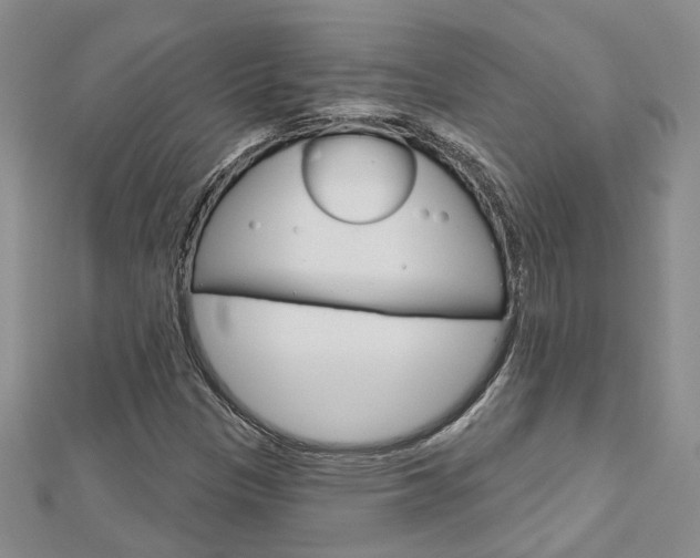 X0000113161305200909040944