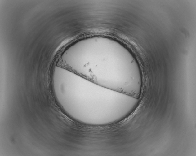 X0000113161306200909040944
