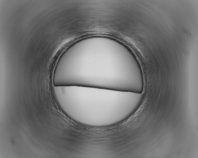 X0000113161307200909040944