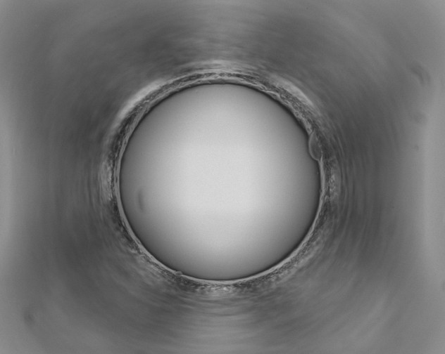 X0000113161310200909040944