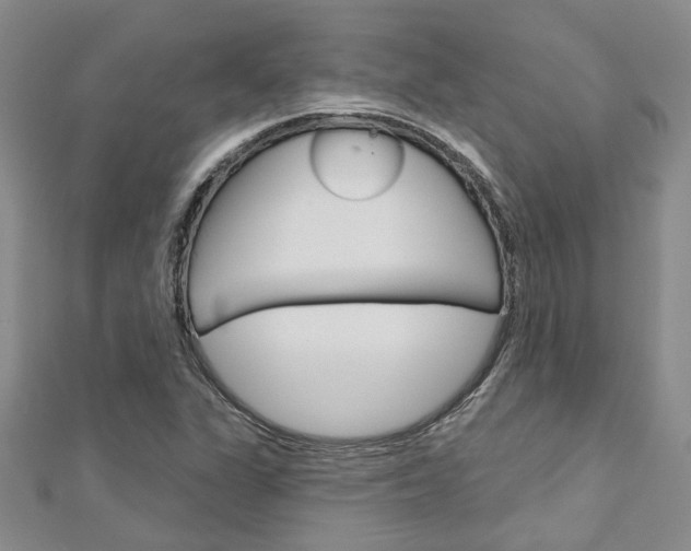 X0000113161311200909040944
