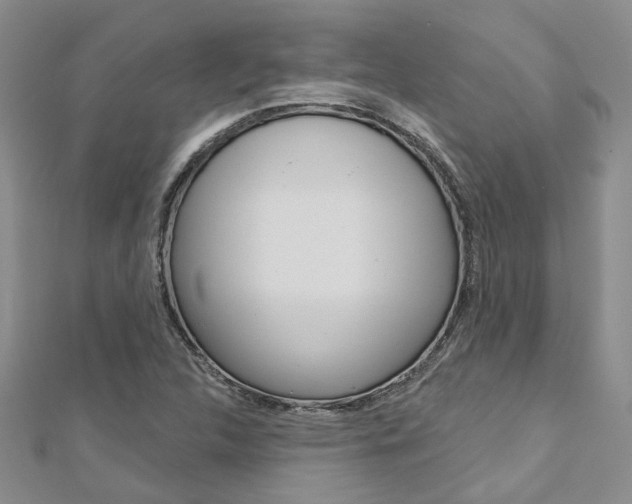 X0000113161312200909040944