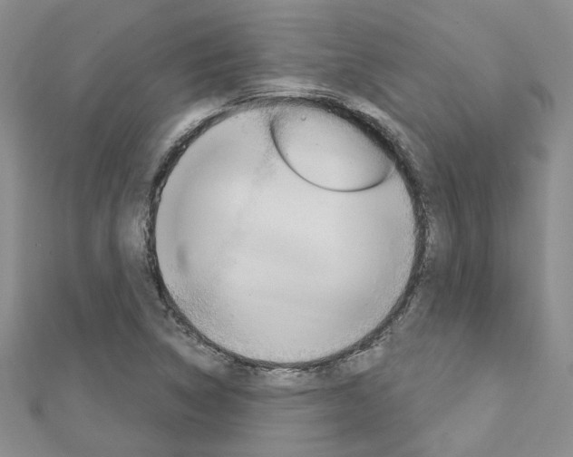 X0000113161314200909040944