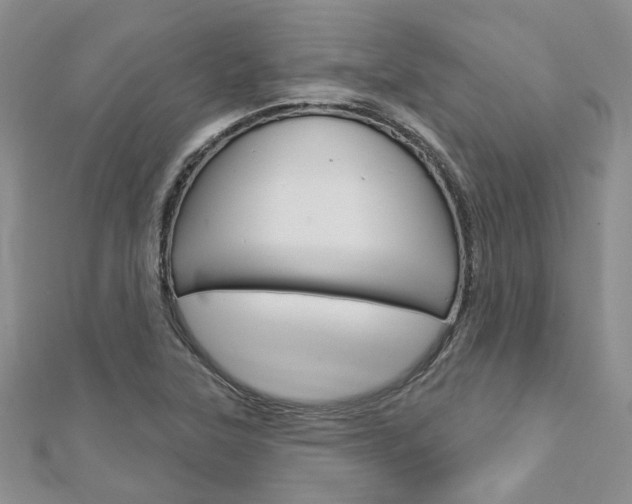 X0000113161315200909040944