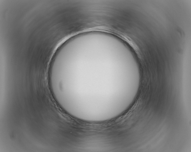 X0000113161316200909040944